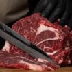 FAO: Neznatan rast cena hrane u aprilu, poskupili meso, ulja i žitarice 13