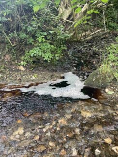 Foto: Žaklina Živković, Inicijativa Pravo na vodu Požar na deponiji kod Užica prouzrokovao zagađenje vode 1