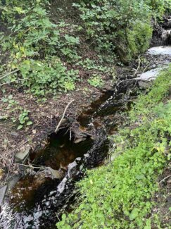 Foto: Žaklina Živković, Inicijativa Pravo na vodu Požar na deponiji kod Užica prouzrokovao zagađenje vode 2