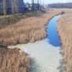 Kanal u Vrbasu u nikad gorem stanju: Građani najavljuju proteste i bojkot proizvoda najvećeg zagađivača 12
