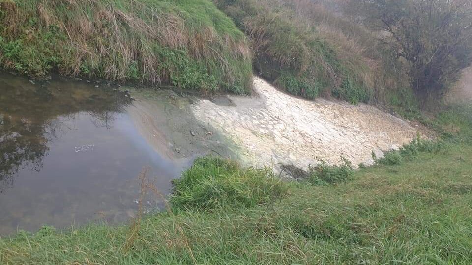 Krivaja u Srbobranu na udaru zagađivača: Farma svinja uništava reku, ekolozi pozivaju na ujedinjenje 2