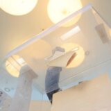 Danas lokalni izbori u Mionici, Sečnju i Negotinu 5