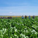 Javni poziv za projekte održive poljoprivrede koje finansira EU 5