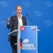 Nemačka vlada kritikovala ekstremno desničarsku stranku AfD zbog širenja dezinformacija 12