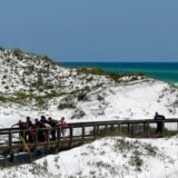 Ajkule napadaju kupače na Floridi: Odgriženi udovi, ugrizi 5