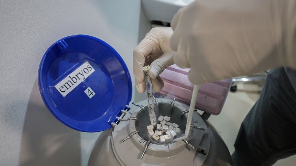 „Ne bih ovo radila da nije novca“: Kako je rat u Ukrajini promenio svetsku trgovinu surogat majčinstvom 2 Ruke u rukavicama izvlače embrione iz posude