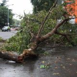 Polisa osiguranja kao najbolji gromobran: Kako nadoknaditi štetu od elementarnih nepogoda? 5