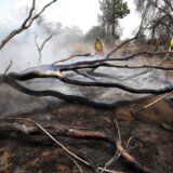 Zbog požara u Arizoni naređena hitna evakuacija stanovništva 3