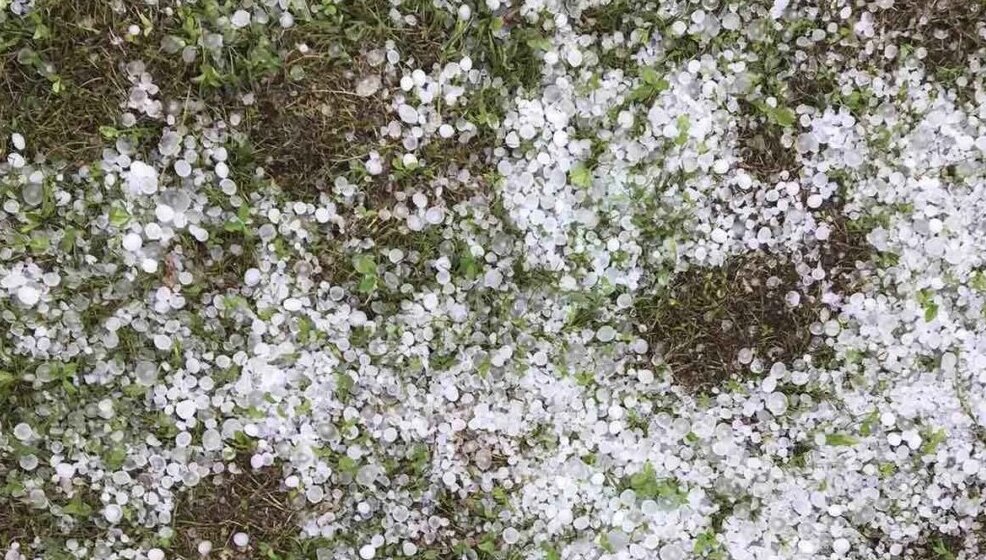 Marinković (SSP): Čime se bavi ministar Martinović dok grad uništava sela Topole? 1