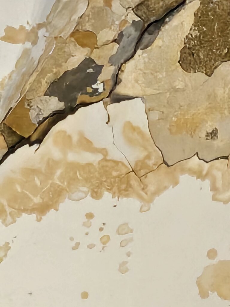 Udruženje književnika Srbije