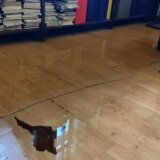 Udruženje književnika Srbije