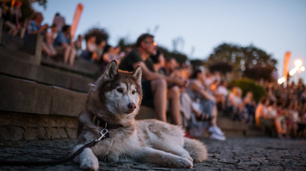 Pod pritiskom ali zajedno: 17. KROKODIL od 27. do 29. juna 1