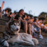 Pod pritiskom ali zajedno: 17. KROKODIL od 27. do 29. juna 1