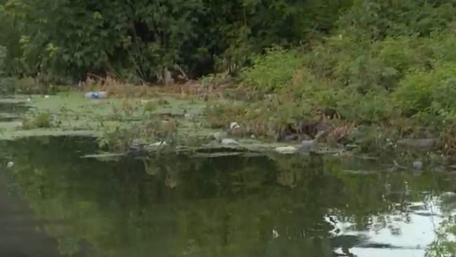 Čukarički rukavac umesto magneta za nautičare i dalje bara puna đubreta 1