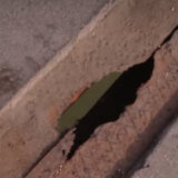 Rupe na pešačkoj stazi na Brankovom mostu (VIDEO) 1