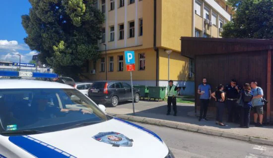 Stigao nalaz i mišljenje veštaka povodom rekonstrukcije ubistva Danke Ilić 8