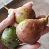 Kragujevačka opozcija traži hitnu sednicu Skupštine zbog posledica prošlonedeljnog grada 9