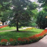 "Dečko, vidiš valjda da nas svi lažu": Zaječarci za Danas o prosečnoj plati od 83.744 dinara 10