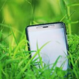 Kako da pomognete očuvanju biljnog biodiverziteta – koristeći samo svoj telefon 13