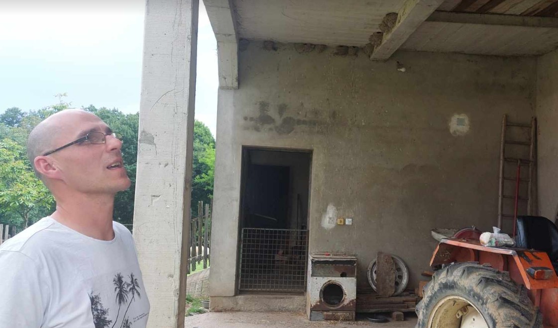 "Sa prvim suncem u proleće evo i njih": Laste napravile 69 gnezda u domu porodice Ćirić iz Štubika kod Negotina 5
