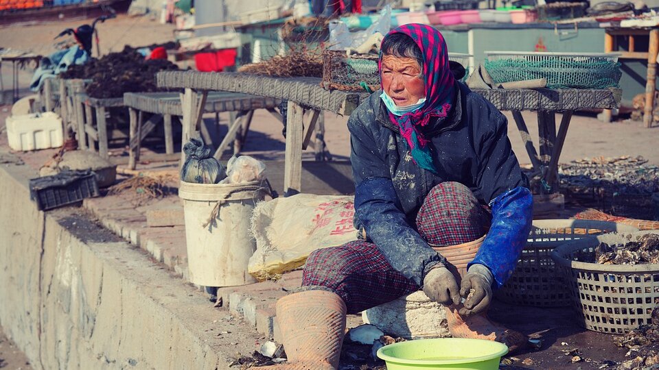 Koje zemlje prednjače po proizvodnji hrane iz vode? 3