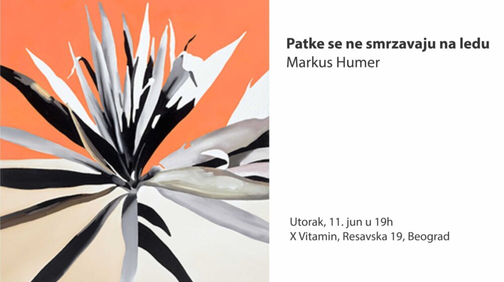 Izložba „Patke se ne smrzavaju na ledu" Markusa Huemera u X Vitaminu 1