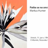 Izložba „Patke se ne smrzavaju na ledu" Markusa Huemera u X Vitaminu 3