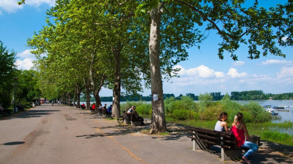 Kako da se zaštitite od toplotnog udara 1