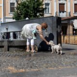 Simptomi toplotnog udara 8