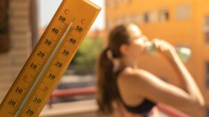 U Leskovcu je u 15 časova izmereno 40 stepeni, objavljeno je na sajtu Republičkog hidrometeorološkog zavoda (RHMZ).