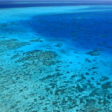 UNESKO: Australija da preduzme hitne mere da zaštiti Veliki koralni greben 2