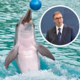 Delfinarijum ili SNS imaginarijum? 6