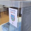 Na dva biračka mesta u Novom Sadu lista kandidata za izbore skraćena 3