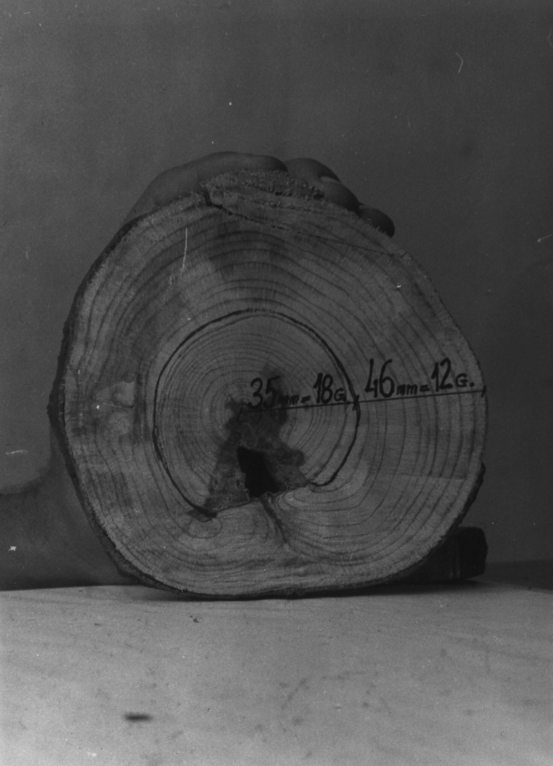 Poziv na radnu akciju i snimanje filma: Mi sadimo šumu, šuma sadi nas 3