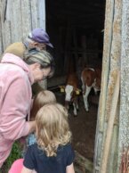 05 - Dušan Igrović bačija Kopaonik Zbog nečijeg hira teraju me sa dedovine: Dušanu Igroviću komunalna inspekcija naložila da sa bačije na Kopaoniku „izbaci” stoku 5