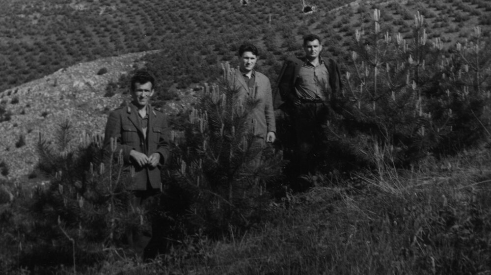 Poziv na radnu akciju i snimanje filma: Mi sadimo šumu, šuma sadi nas 1