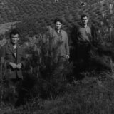 Poziv na radnu akciju i snimanje filma: Mi sadimo šumu, šuma sadi nas 9