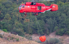 Tim MUP-a Srbije ugasio požar kod sela Rosoman u Severnoj Makedoniji 4