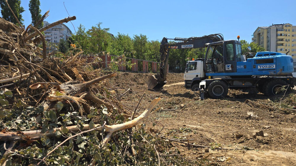 U Beogradu oboreno 100 stabala bez plana i objašnjenja 1
