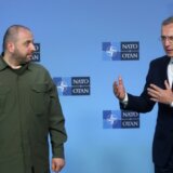 Ukrajinski "most" ka NATO mogao bi da bude opasan: Pismo upozorenja pred samit Alijanse u Vašingtonu 1