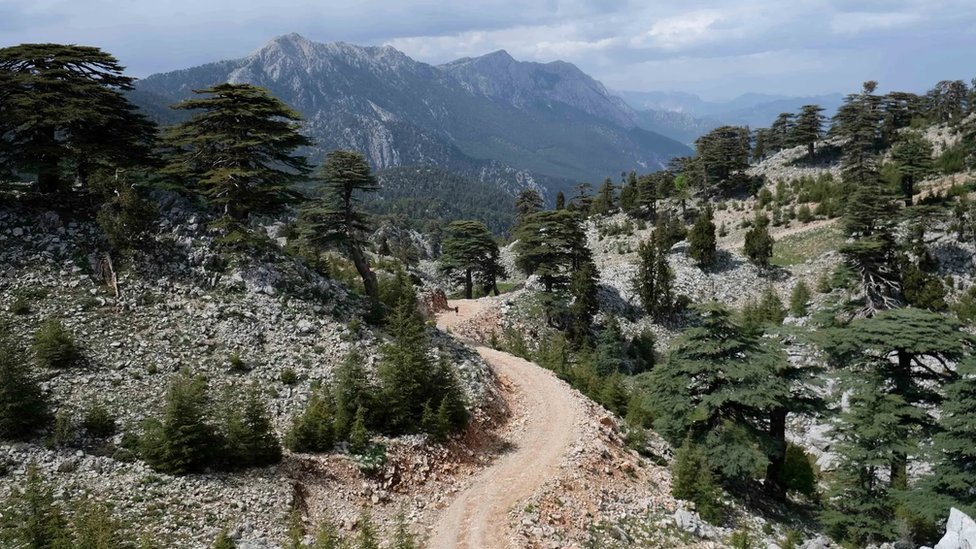 Istorija i politika: Drevna civilizacija koja je inspirisala američku demokratiju 1 planina