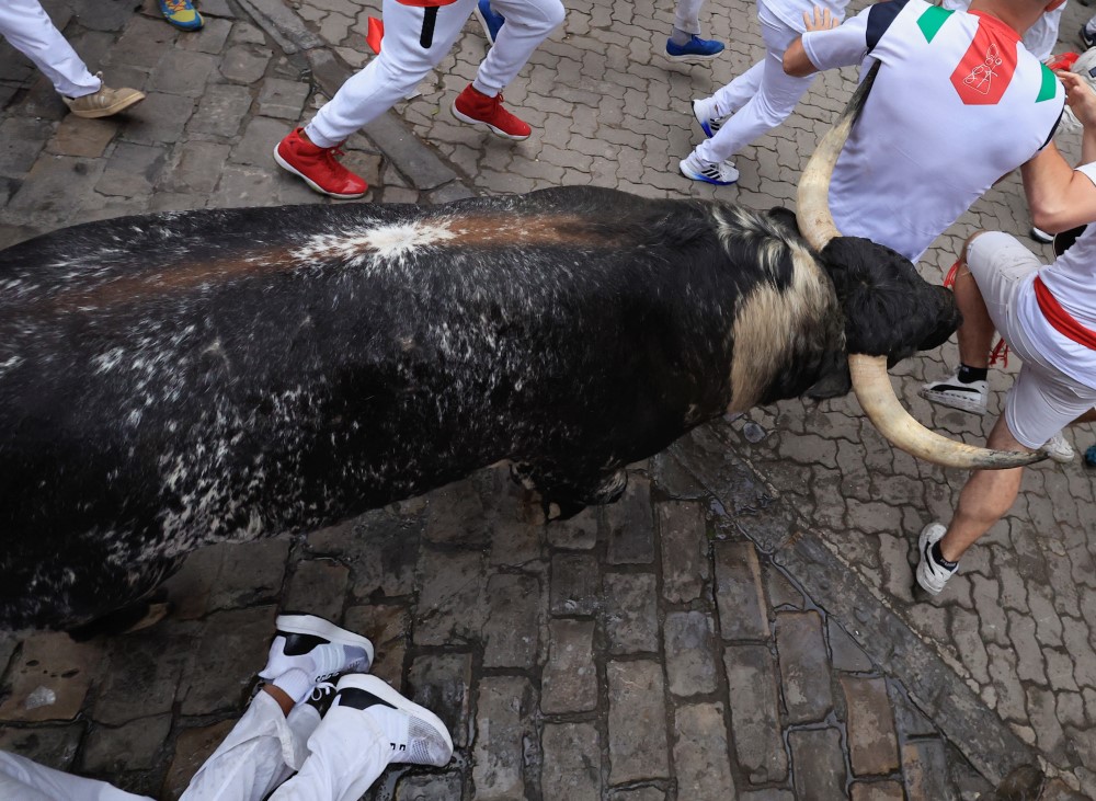 Trka s bikovima: Festival koji je očarao i Hemingveja i koji ljuti zaštitnike životinja 7 trka s bikovima