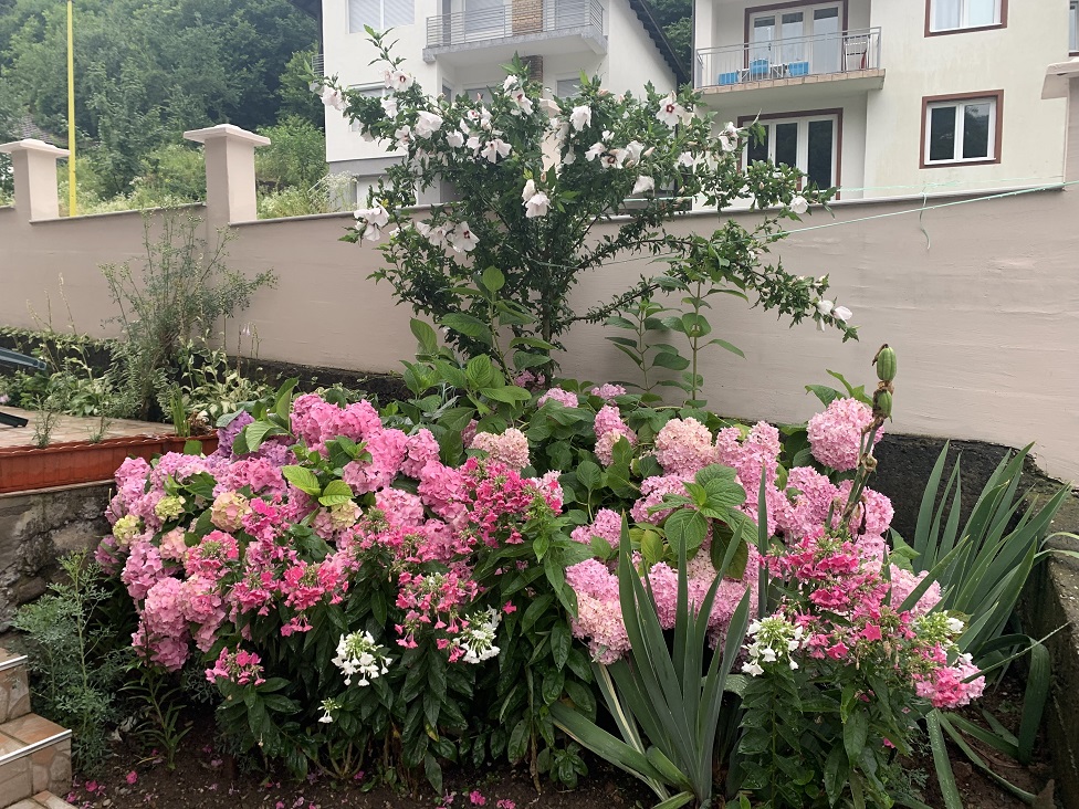 Srebrenica posle rezolucije: „Isto nema ljudi kao i pre, isto nema posla“ 12 Berija gaji cveće u dvorištu