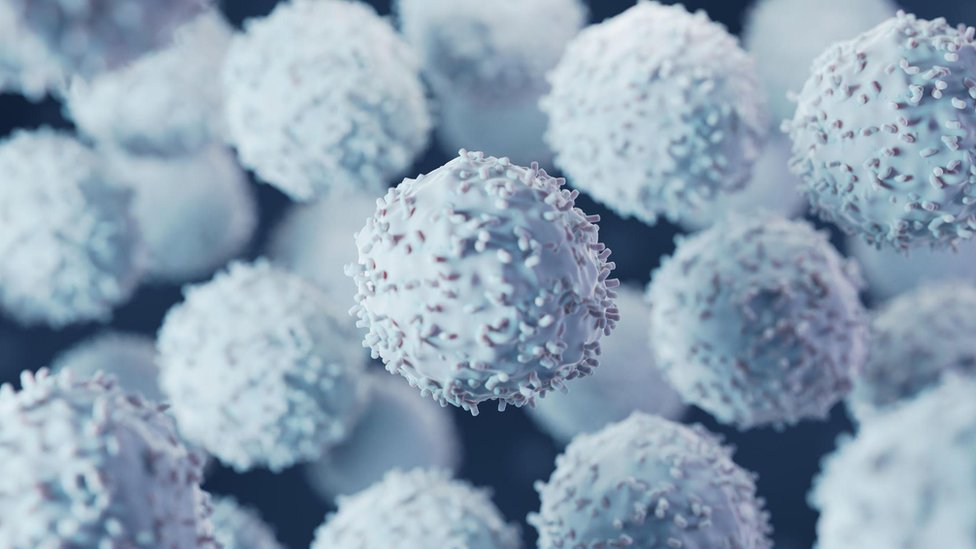 Nauka: Koje su prednosti autsajdera 3 3D fotografija T-ćelija