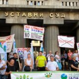 Rio Tinto u Srbiji: Protesti protiv rudnika litijuma - šta znamo do sada 1