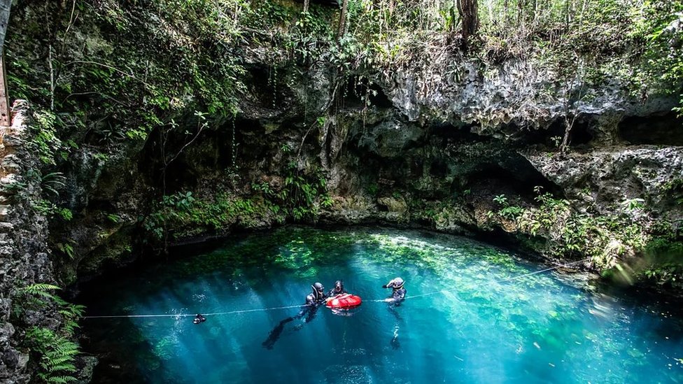 Skrivena čuda svetog meksičkog podvodnog sveta 2 meksiko