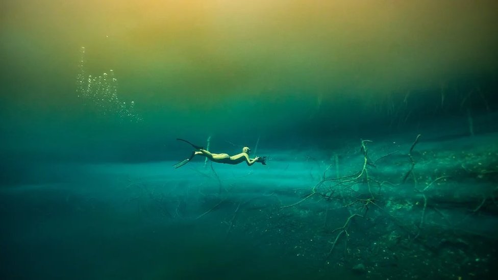 Skrivena čuda svetog meksičkog podvodnog sveta 4 meksiko, ronjenje