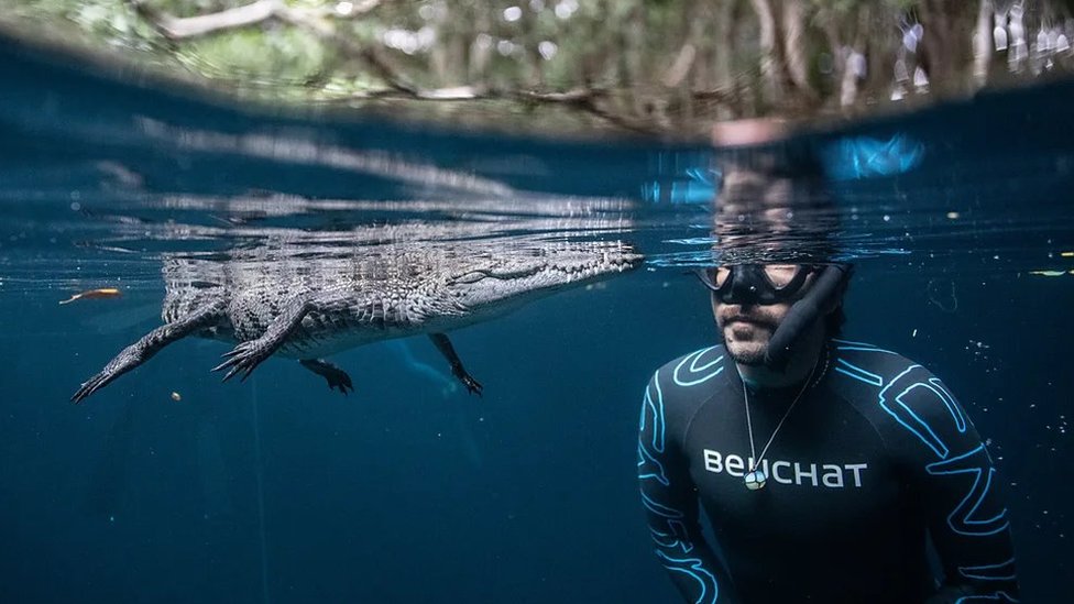 Skrivena čuda svetog meksičkog podvodnog sveta 7 meksiko, ronjenje