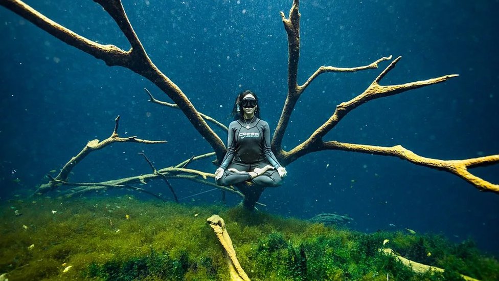 Skrivena čuda svetog meksičkog podvodnog sveta 10 meksiko, ronjenje