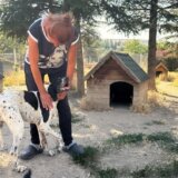 Turska: Spasiti ili uspavati - podele oko napuštenih pasa 2